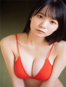 城寨英雄国语-装甲骑女