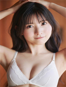 城中大盗